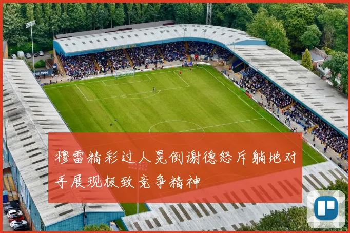 穆雷精彩过人晃倒谢德怒斥躺地对手展现极致竞争精神