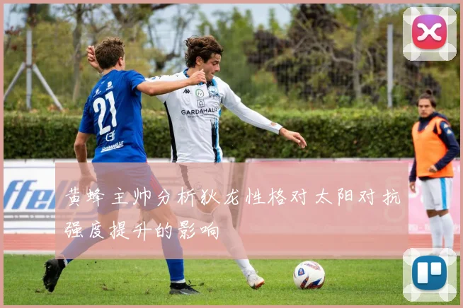 黄蜂主帅分析狄龙性格对太阳对抗强度提升的影响